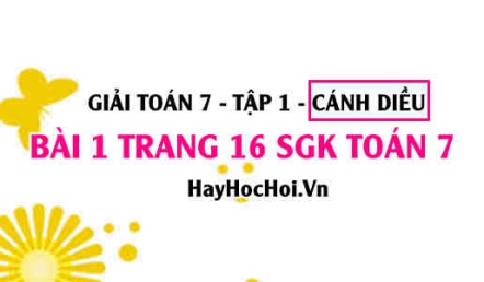 Giải bài 1 trang 16 Toán 7 Tập 1 SGK Cánh Diều